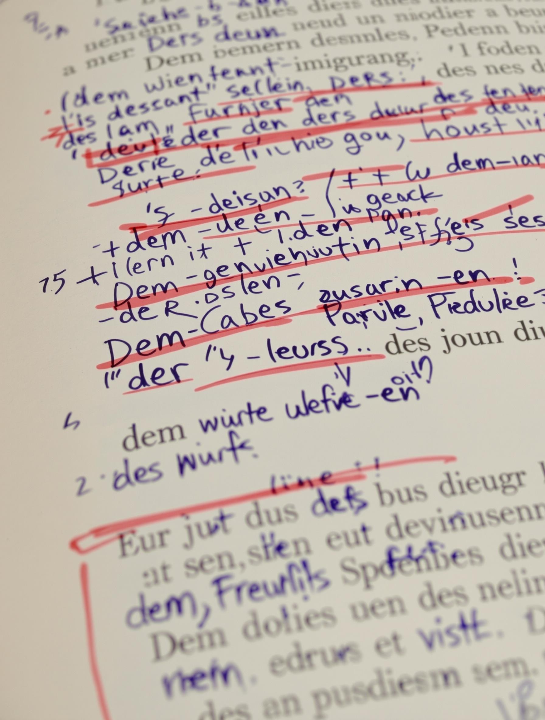 Exemple annoté de déclinaisons au datif dans un manuel d'allemand.